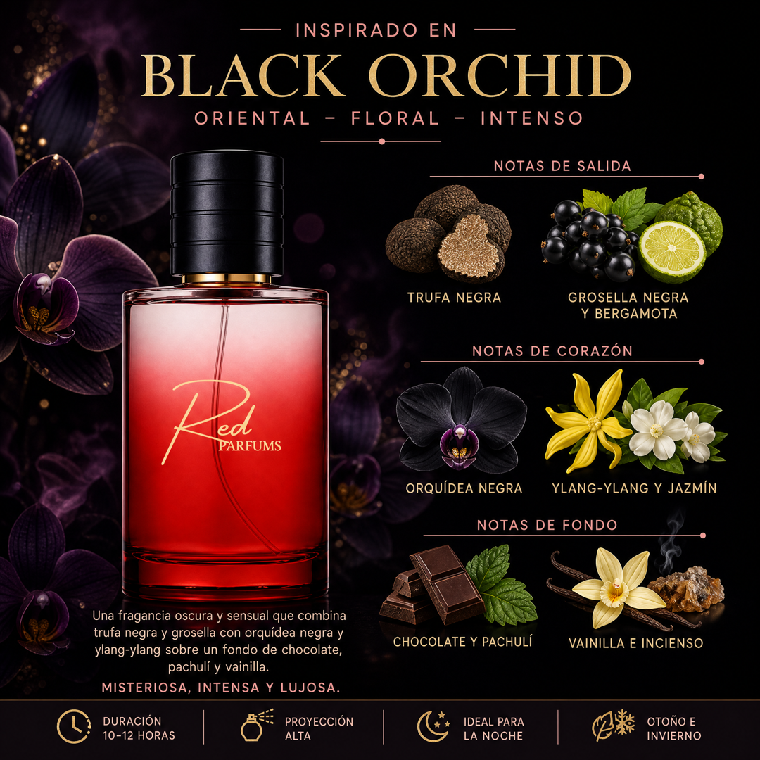 Notas olfativas del perfume de nicho inspirado en Black Orchid: trufa negra, grosella negra, bergamota, orquídea negra, ylang-ylang, jazmín, chocolate, pachulí, vainilla e incienso