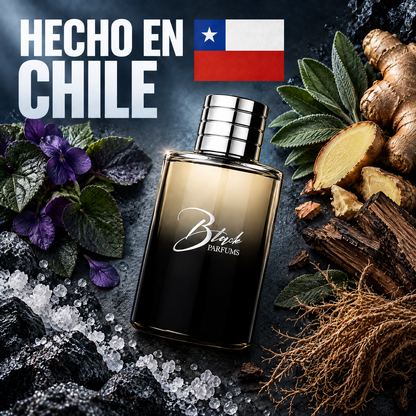 Perfume de nicho inspirado en Born in Roma Uomo hecho en Chile, con violeta, sal mineral, salvia, jengibre y vetiver