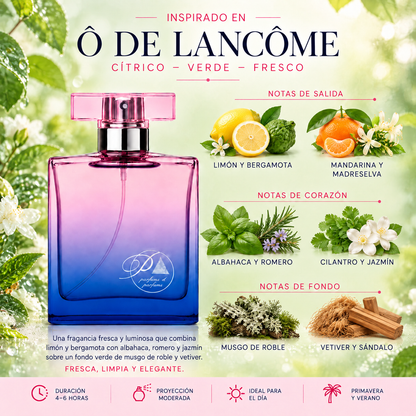 Notas olfativas del perfume inspirado en Ô de Lancôme: limón, bergamota, mandarina, madreselva, albahaca, romero, cilantro, jazmín, musgo de roble, vetiver y sándalo